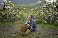 鴻業官網上那些讓您辦公室春意怏然的辦公家具款式