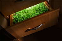 什么是綠色環保辦公家具？環保辦公家具標準是什么？